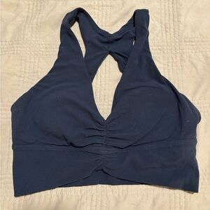 Aritzia Deep Blue Sports Bra